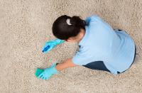 Carpet Cleaning Hobart image 6